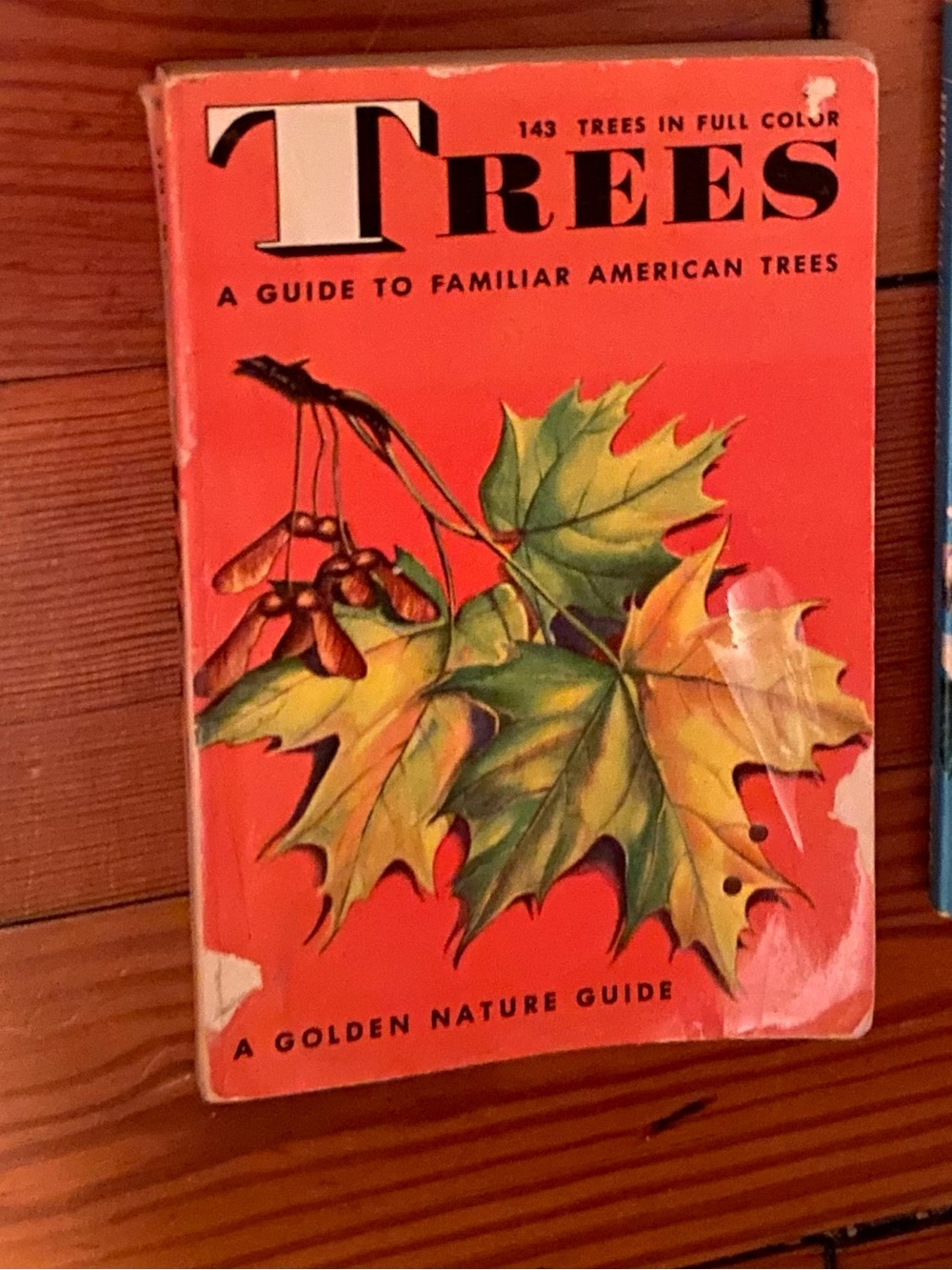 Vintage 50s 1950s Tree book Trees Golden Nature LEAF LEAVES illustrated